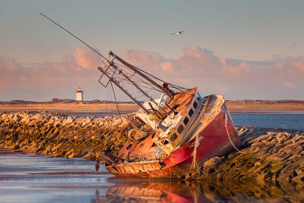 Cape Cod