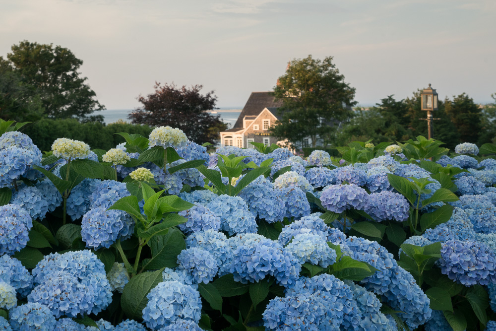 Cape Cod